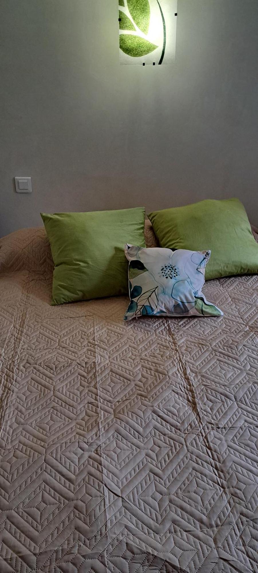 Chez Maxime Apartment Fraissinet-de-Fourques Ngoại thất bức ảnh